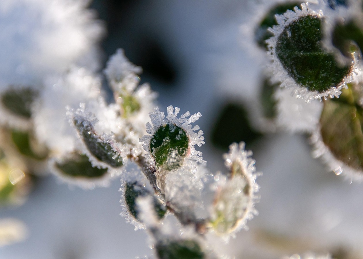 Синоптики розповіли, якою буде погода на Різдво
