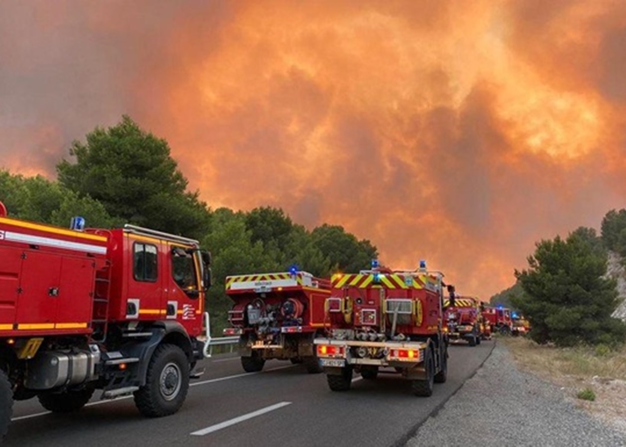 У Франції вогонь знищив близько 930 гектарів лісу