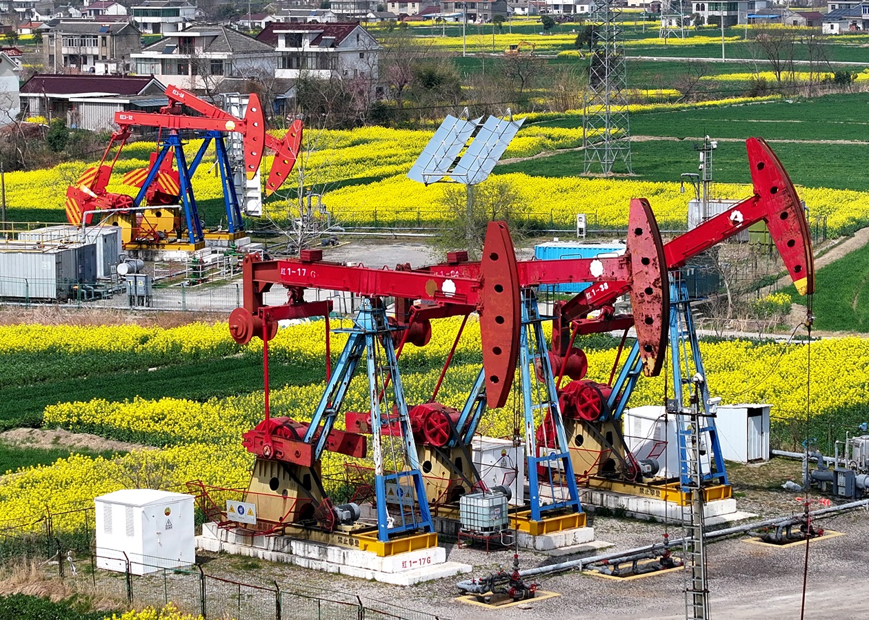 Ціни на нафту зросли після обвалу