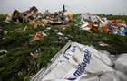 Обнародованы новые фото с места крушения Boeing-777