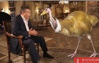 Я підтримував страусів. Меми на інтерв ю Януковича