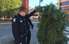 В США арестовали  человека-дерево 