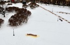 В РФ задержали создателя огромной фекалии из снега