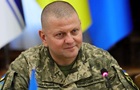 Україна готова до вступу в НАТО - Залужний