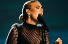 Адель отменила концерты не из-за коронавируса - СМИ