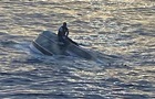 Біля Флориди перекинувся човен, десятки зниклих безвісти