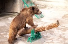 В Ташкентском зоопарке мать сбросила дочь в вольер к бурому медведю