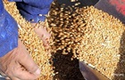 Пшениця значно подорожчала на тлі заборони експорту з Індії