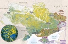Окупанти захопили 22% полів України – NASA