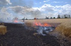 Обстріл Сумщини: згоріло поле пшениці