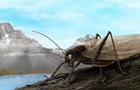 Ученые воссоздали звуки насекомого, которого не видели уже 150 лет