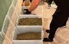 В полиции сообщили подробности спецоперации по задержанию наркодельцов