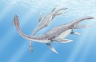 Ученые нашли целый скелет плезиозавра