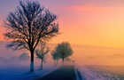 В Україні 8-9 грудня очікується густий туман