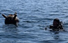 У Чорному морі посилилася мінна небезпека