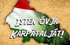 Депутат облсовета изобразила Закарпатье в цветах венгерского флага - СМИ