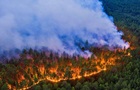 На російському Алтаї палають тисячі гектарів лісів