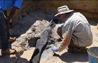 В Африці археологи знайшли дерев’яну конструкцію, якій майже 500 тис років
