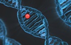 ШІ від Google навчився передбачати генетичні хвороби