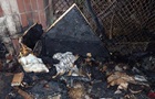 Пожар в приюте для кошек в Киеве: идет следствие