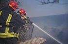 В Одесі ліквідували пожежу на площі 10 гектарів
