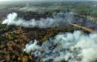На Киевщине ликвидировали масштабное возгорание травы