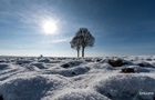 В деяких регіонах України прогнозують до 14 градусів морозу