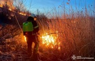 В Украине участились пожары в экосистемах