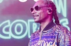 Snoop Dogg купил украшение в поддержку Украины