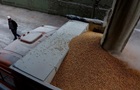 Євросоюз посилить перевірки українського зерна