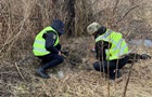 На Ізюмщині собаки знайшли рештки загиблого