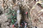 Розбирали FPV-дрон: на Херсонщині загинули троє чоловіків