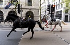 У центрі Лондона військові коні поранили чотирьох людей