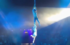 В Запорожье артисты цирка во время спектакля сорвались и упали с...