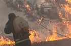 На Харьковщине из-за вражеских обстрелов загорелся лес