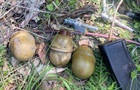 В лесу в Киеве нашли пакет с гранатами и патронами для автомата