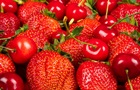 Сезон ягод: какой ожидается урожай и что будет с ценами 