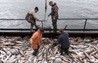 Российских рыболовов перестали пускать в большие порты ЕС