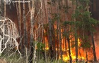 На Харківщині гасять дев ять лісових пожеж
