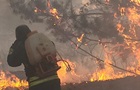 Министр: На Харьковщине - масштабный лесной пожар, его не могут потушить