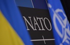 WP сообщило чего ждать от саммита НАТО в США