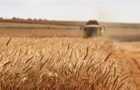 Росіяни з ТОТ вивезли мінімум 30 тисяч тонн аграрної продукції - ЦНС
