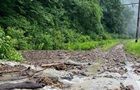 Селевый поток сошел на железнодорожные пути в Закарпатье