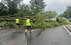 Садовый показал последствия урагана во Львове