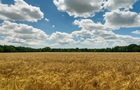В Украине намолотили более 3 млн тонн зерновых