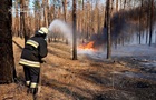 На Харківщині локалізували масштабну лісову пожежу