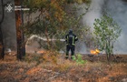 У Лиманському лісництві ліквідували лісову пожежу