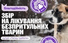  Лапка Заботы : как помочь животным в прифронтовых зонах