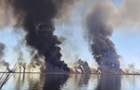 У Краснодарському краї РФ чотири дні горять плавні