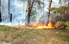 На Харківщині триває ліквідація 11 лісових пожеж